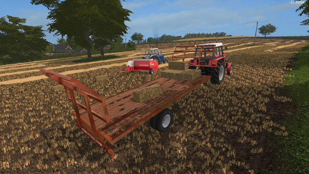 LS17,Anhänger,Ballentransport,,Lizard 20 Fuß Ballen Anhänger
