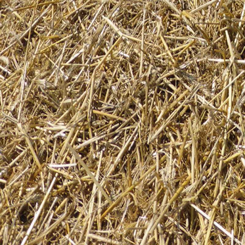 Real_Grass_Hay_straw