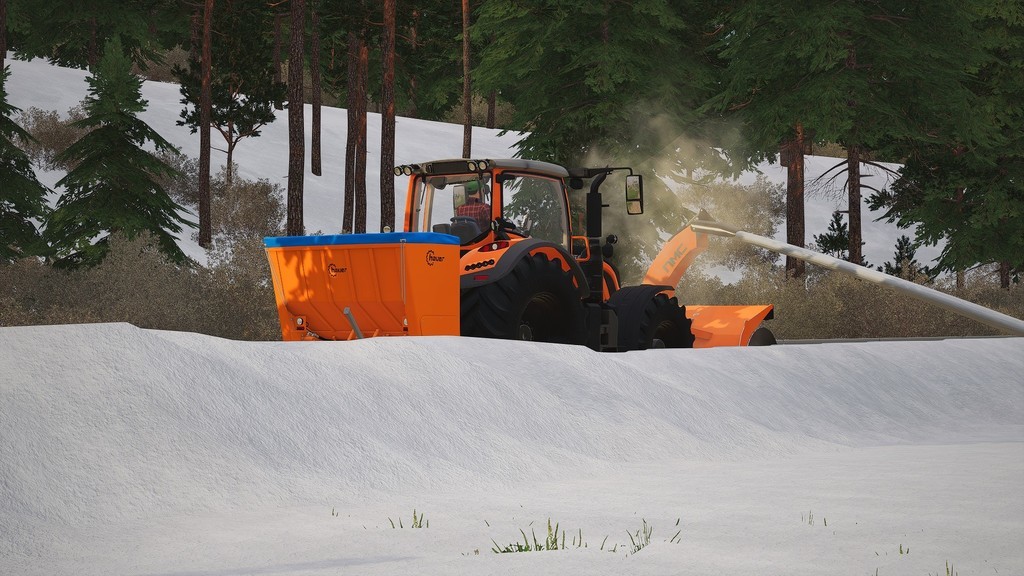 LS19,Anbaugeräte,Schneeräumgeräte,,NMC 320H Pro Schneefräse