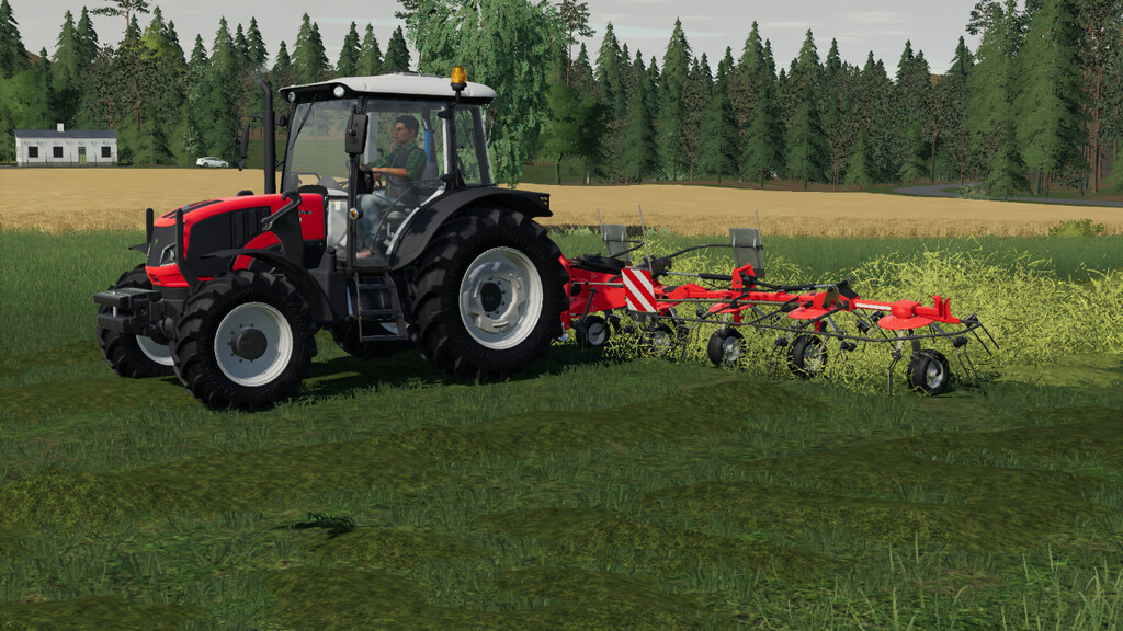 LS19,Anbaugeräte,Schwader & Wender,,Fella Grassland Equipment