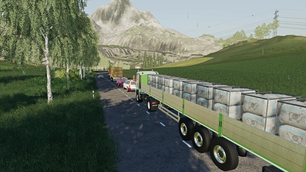 LS19,Anhänger,Ballentransport,,Lizard Trailer