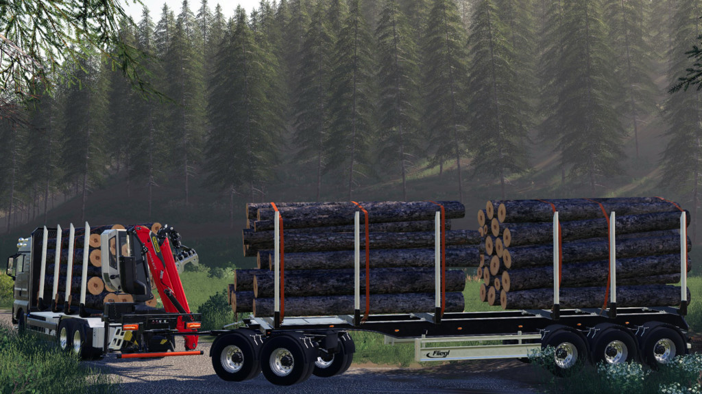 LS19,Anhänger,Forst,,Fliegl Holz Rungen Anhänger