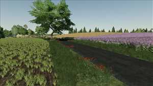 landwirtschafts farming simulator ls fs 19 ls19 fs19 2019 ls2019 fs2019 mods free download farm sim Cybuchowo 1.0.0.1