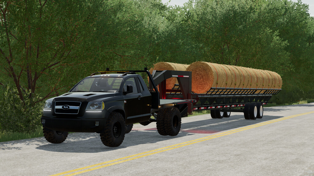 LS22,Anhänger,Ballentransport,,Lizard Haymaster