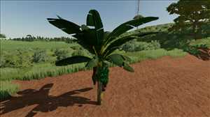 landwirtschafts farming simulator ls fs 22 2022 ls22 fs22 ls2022 fs2022 mods free download farm sim Bananenbaum 1.0.0.0