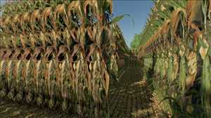 landwirtschafts farming simulator ls fs 22 2022 ls22 fs22 ls2022 fs2022 mods free download farm sim DIY Corn Maze 1.0.0.0