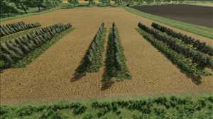 landwirtschafts farming simulator ls fs 22 2022 ls22 fs22 ls2022 fs2022 mods free download farm sim Variable Olivenrebe Breiten 1.0.0.0