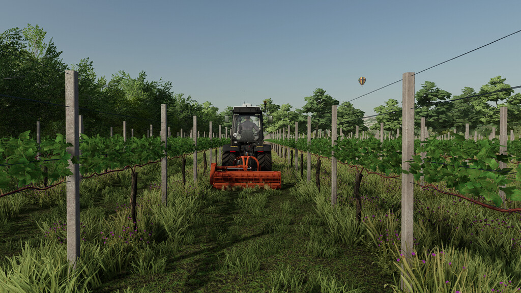 LS22,Maps & Gebäude,Produktionen,Plantagen,Weinbergpfähle Paket