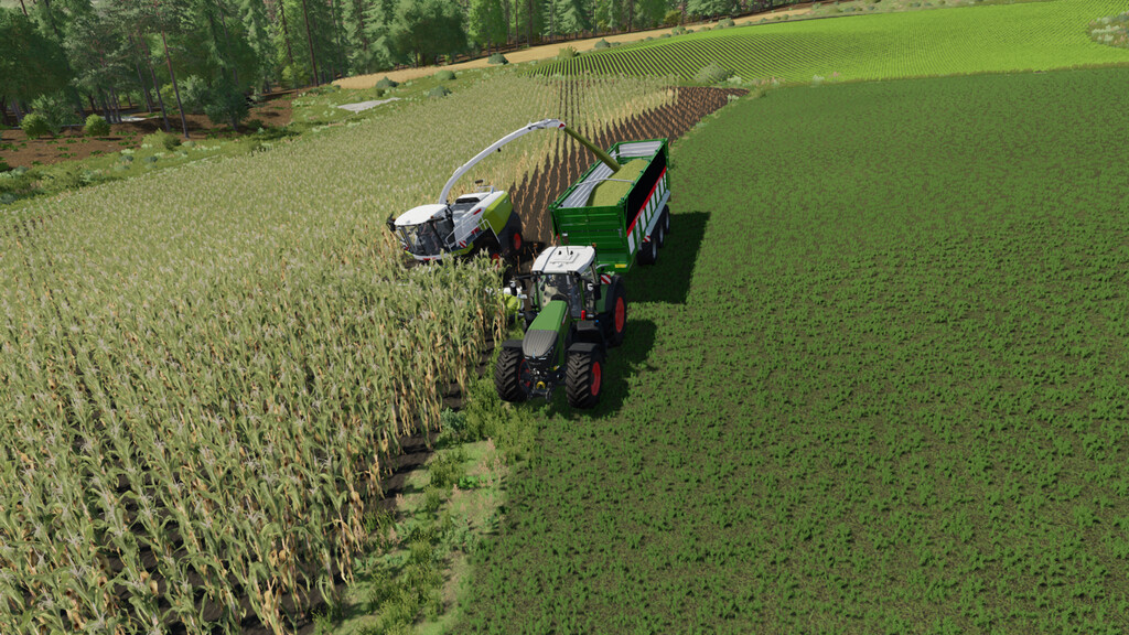 LS22,Selbstfahrer,Feldhäcksler,,Claas Jaguar 900 TT Pack