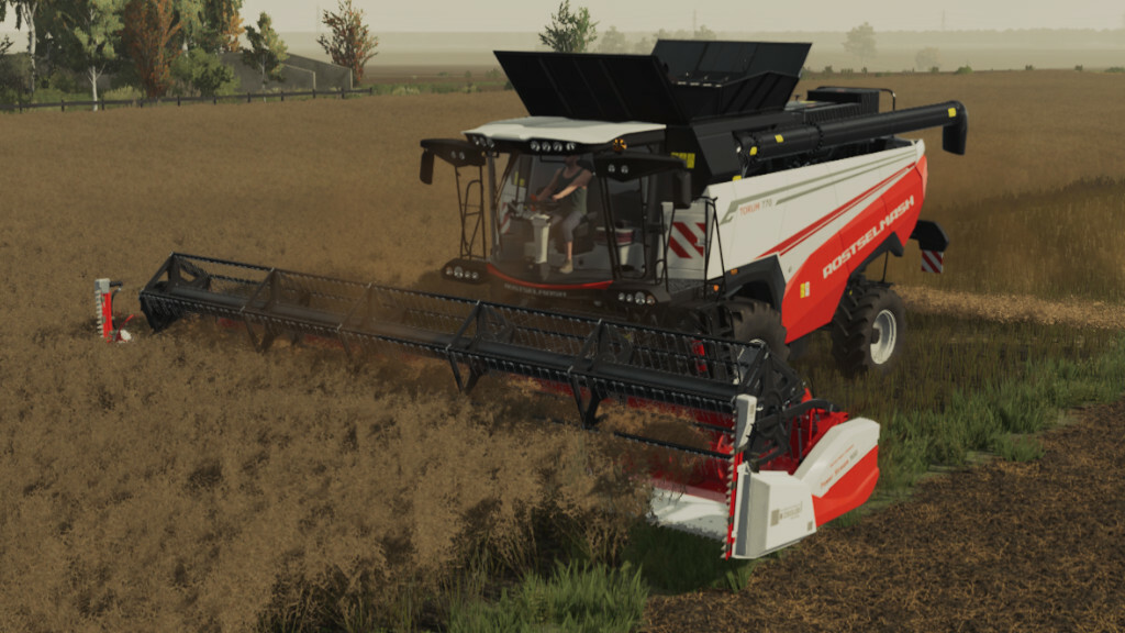 LS22,Selbstfahrer,Mähdrescher,Sonstige Mähdrescher,Rostselmash Torum 770