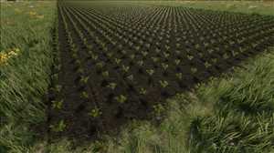 landwirtschafts farming simulator ls fs 22 2022 ls22 fs22 ls2022 fs2022 mods free download farm sim Grow Now 1.0.5.1