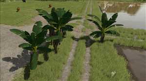 landwirtschafts farming simulator ls fs 25 2025 ls25 fs22 ls2025 fs2025 mods free download farm sim Bananenbaum 1.0.0.0